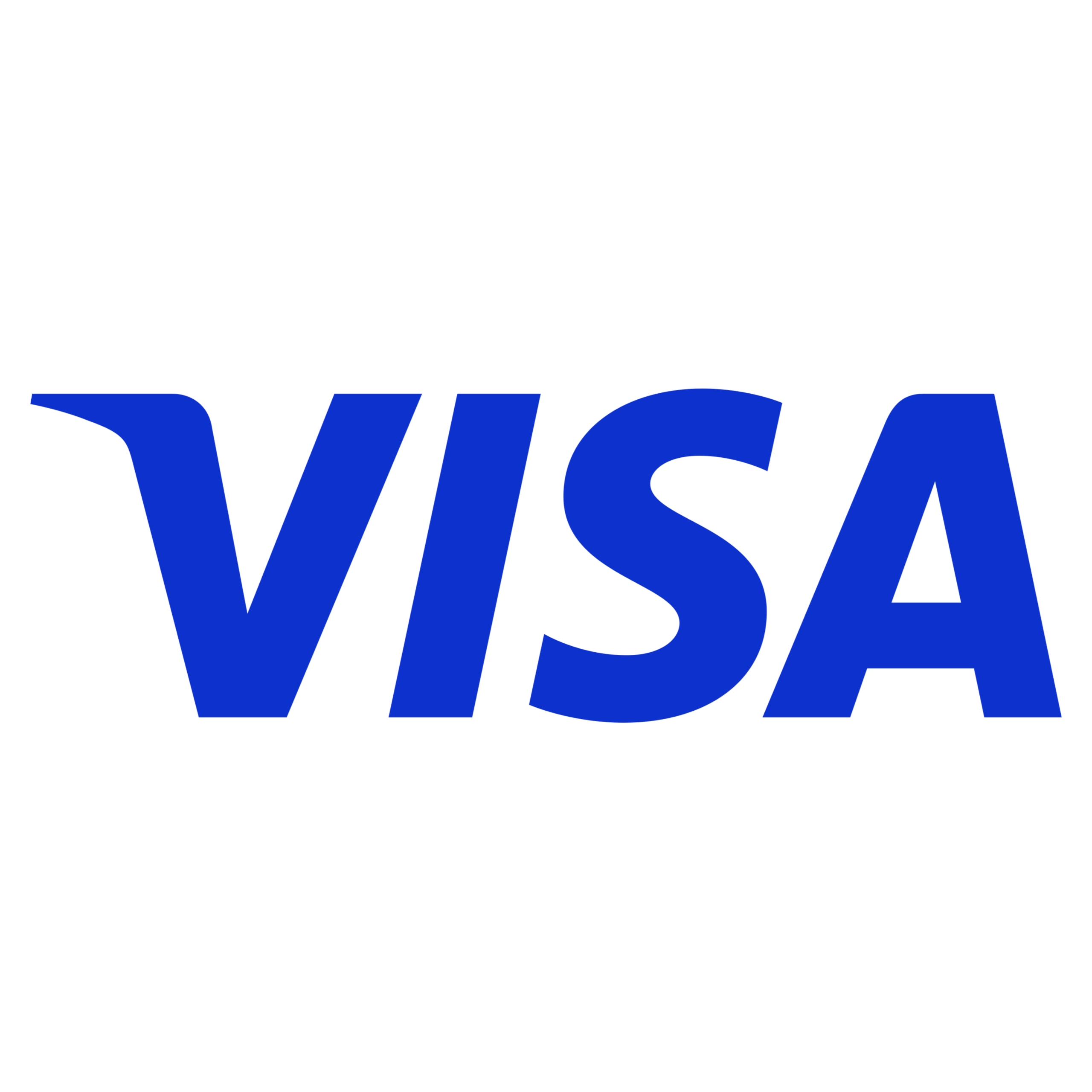 VISA Logo Svg